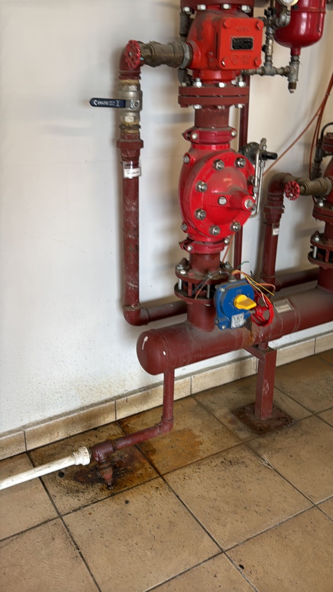 Fire sprinkler inspection